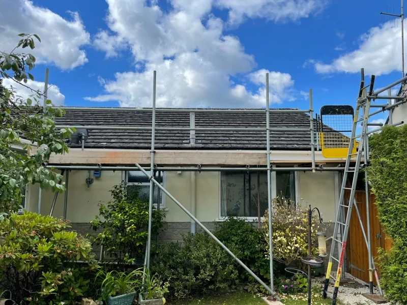 Bournemouth Scaffolder - Oculus